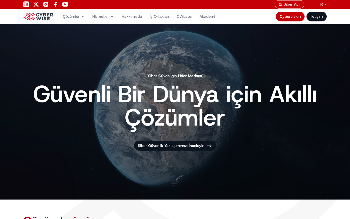 Cyberwise