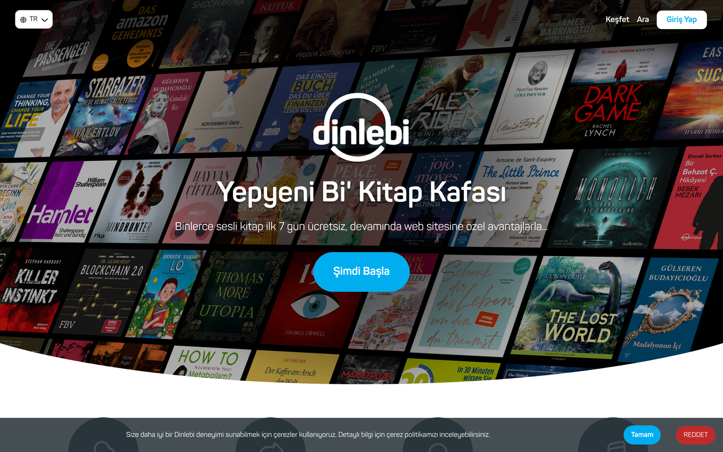 Dinlebi