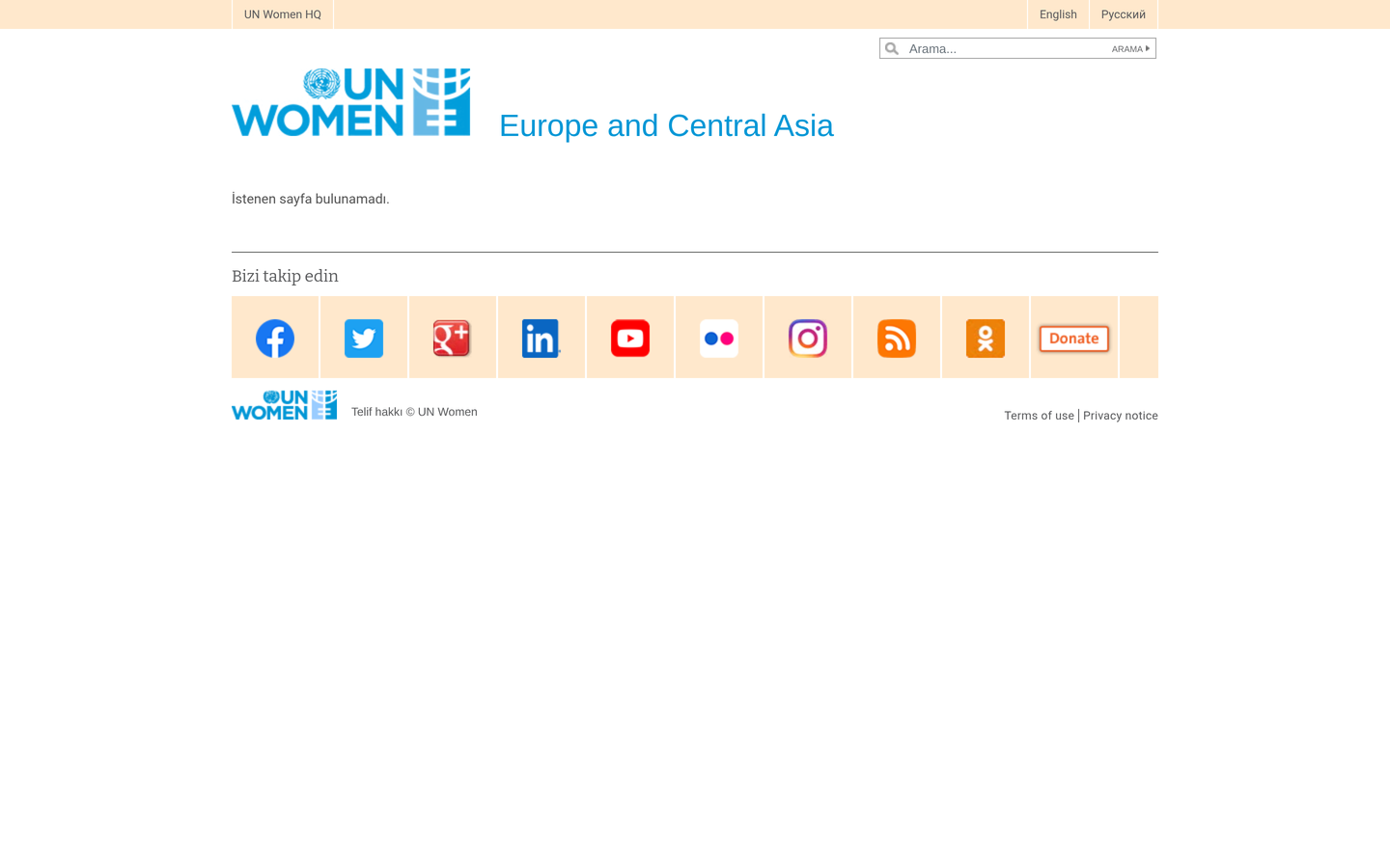 UN Women Türkiye