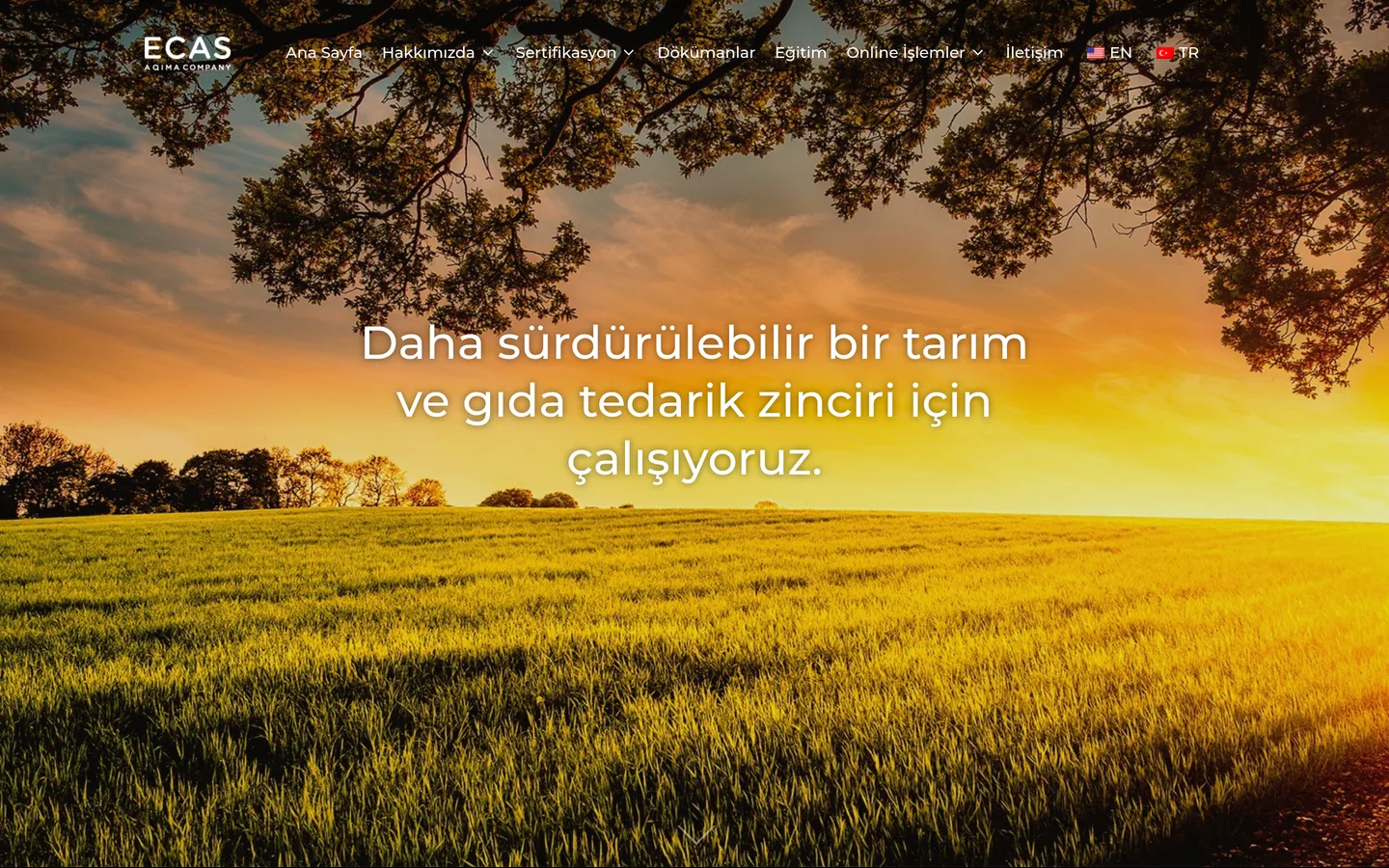 ECAS Sertifikasyon
