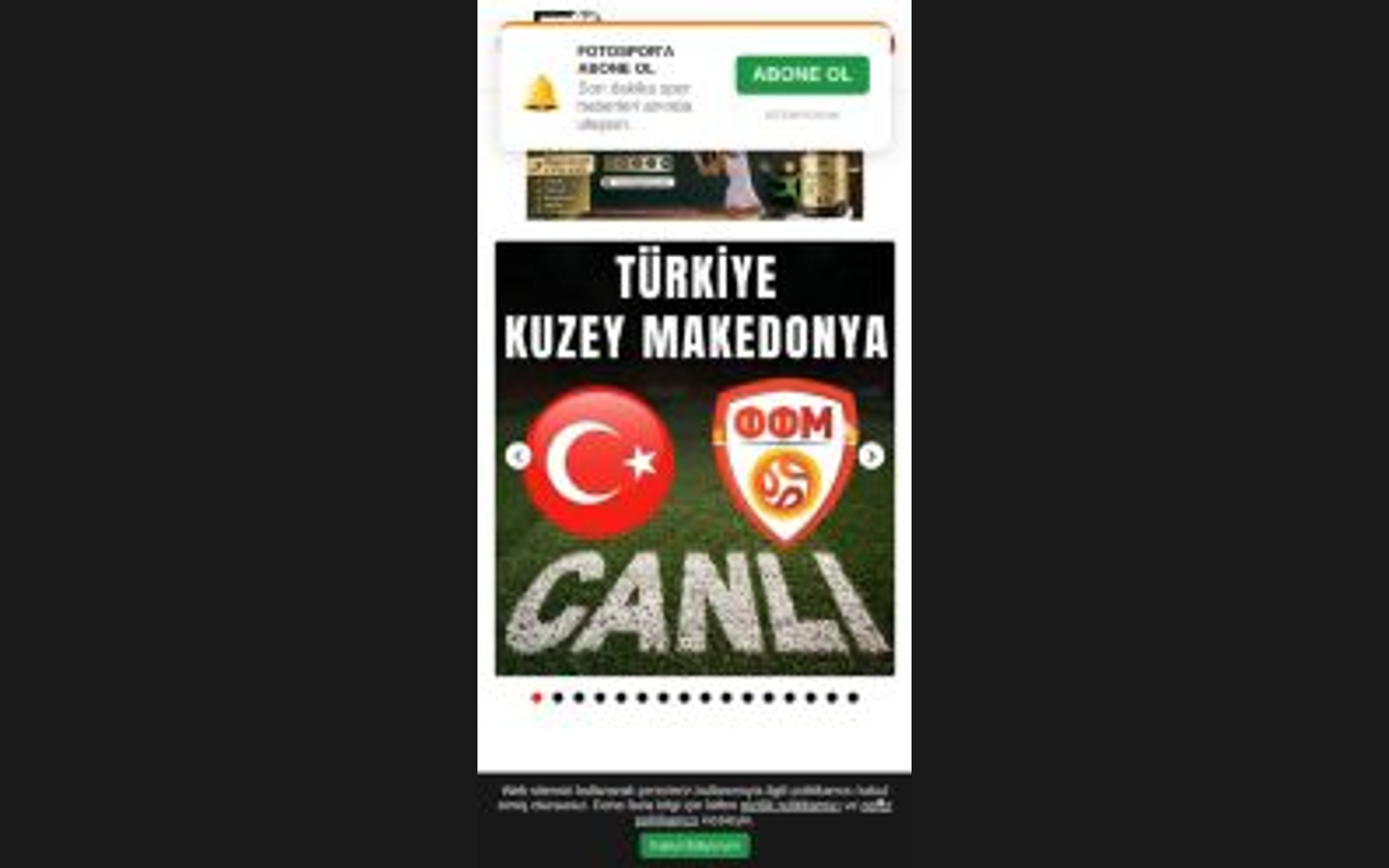 Fotospor