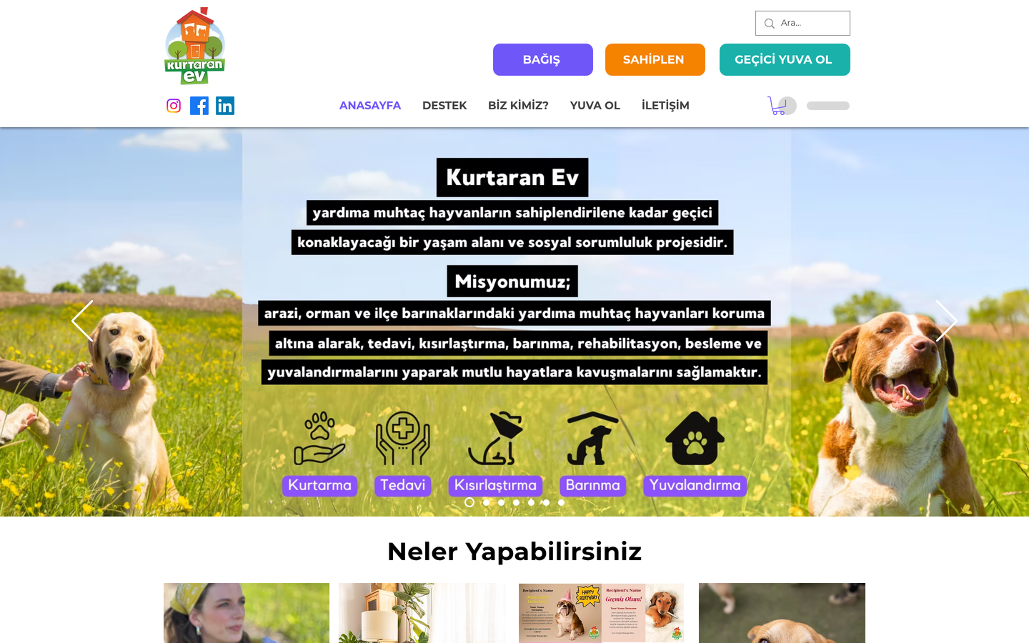 Kurtaran Ev