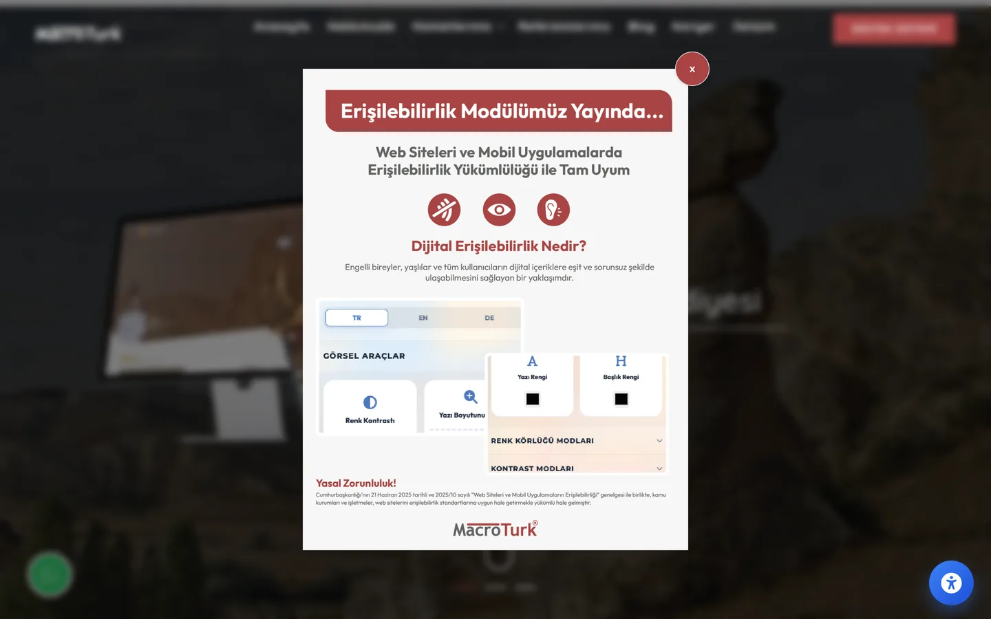 MacroTurk