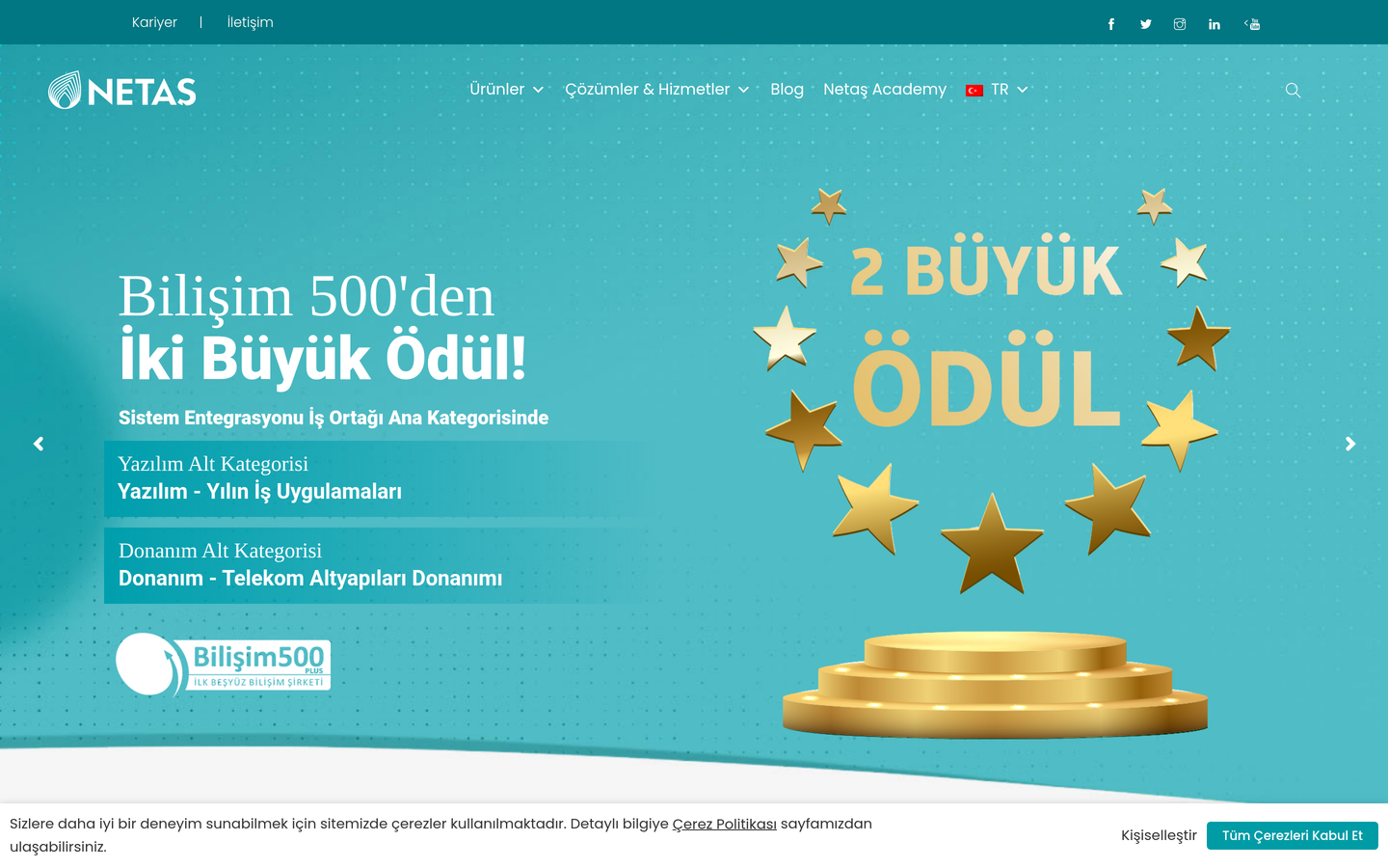 Netaş