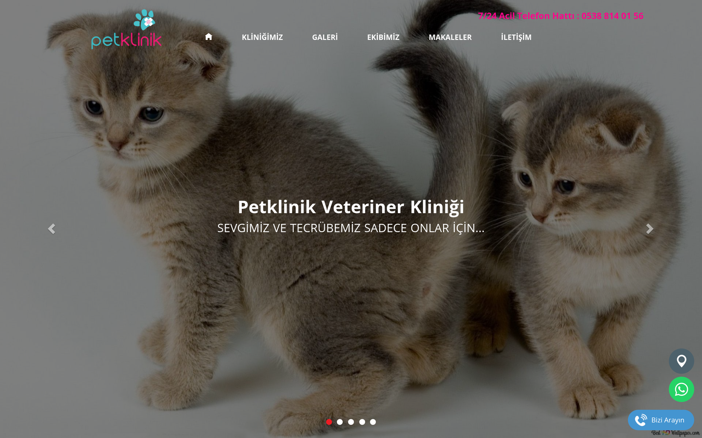 Petklinik Veteriner