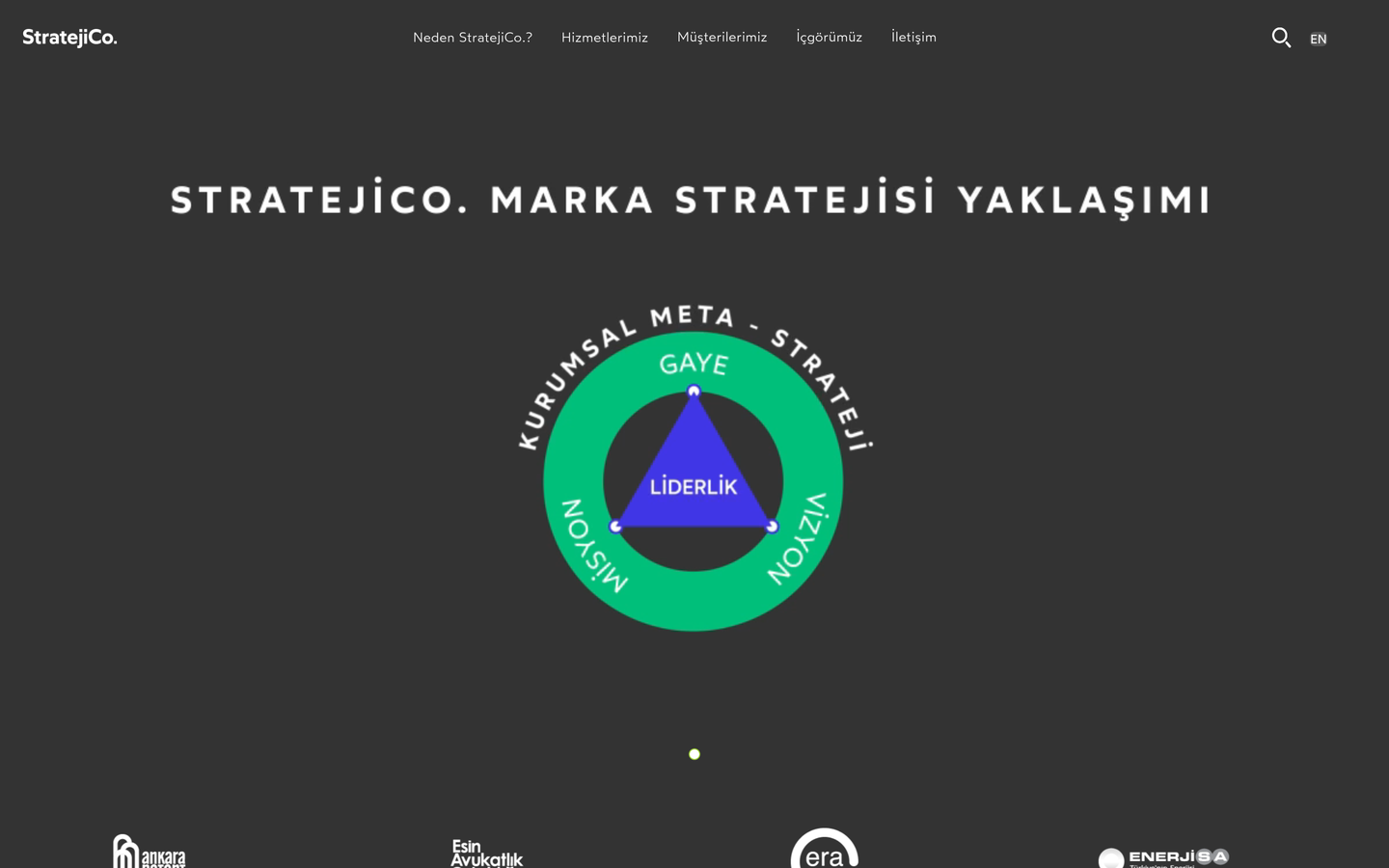 StratejiCo.