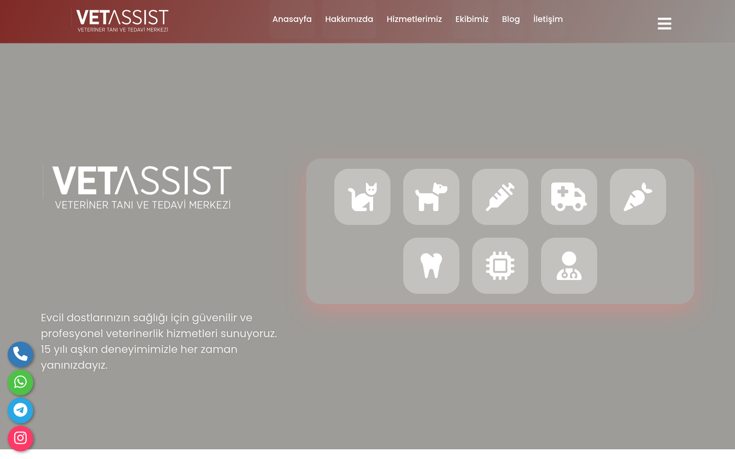 VetAssist